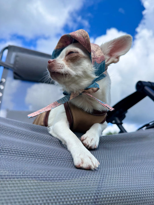 Pink Waves Dog Bonnet