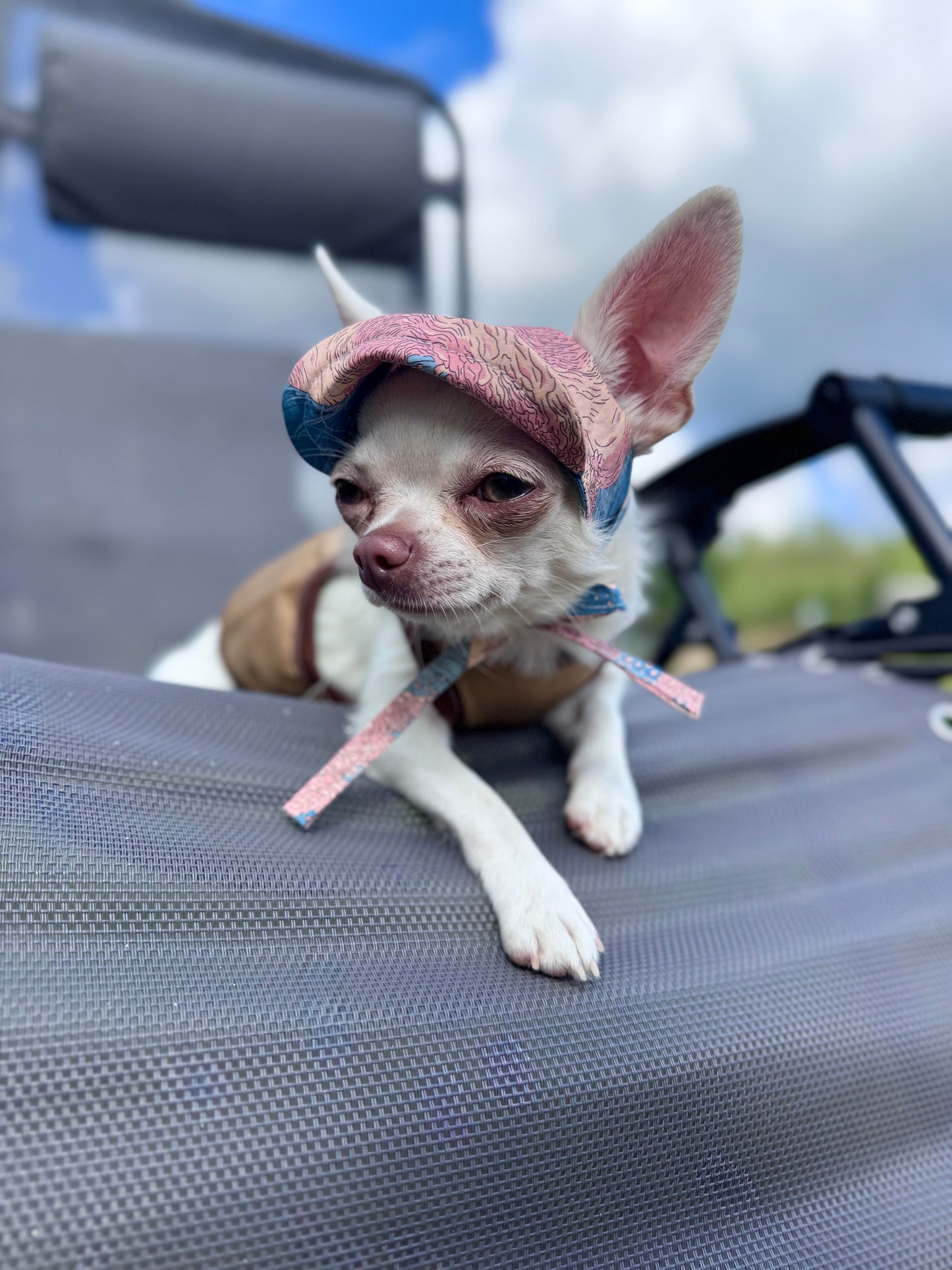 Pink Waves Dog Bonnet