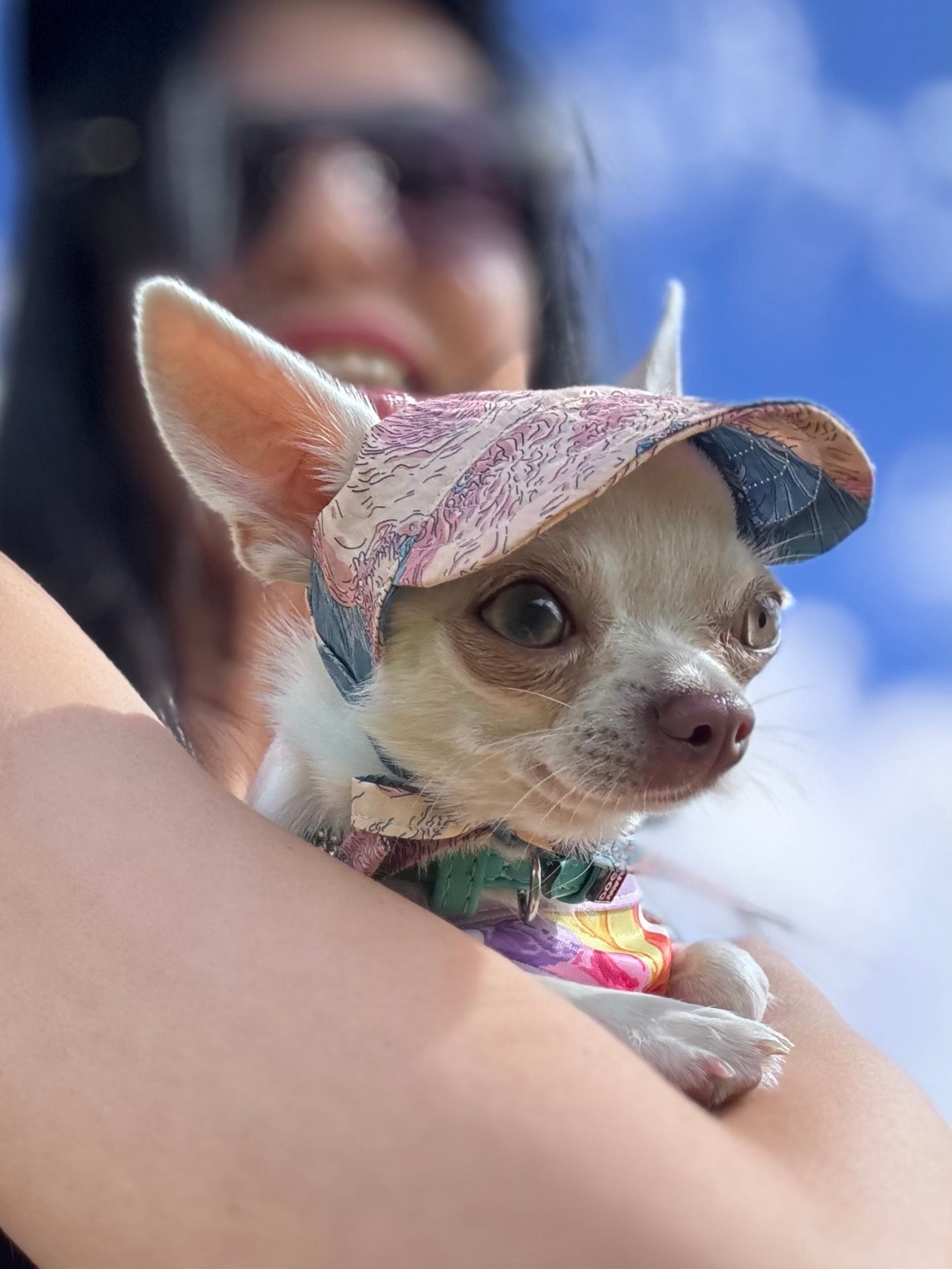 Pink Waves Dog Bonnet